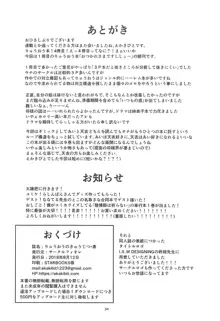 りゅうおうのきゅうじつ・表, 日本語