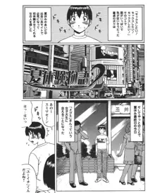 夏体験物語, 日本語