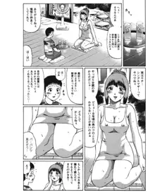 夏体験物語, 日本語