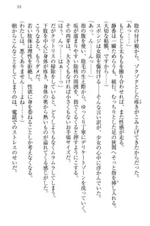 信長とセーラー服 時をかける大和撫子, 日本語