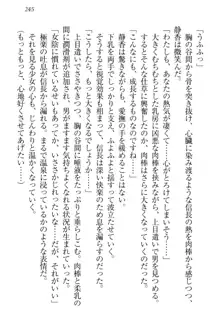 信長とセーラー服 時をかける大和撫子, 日本語