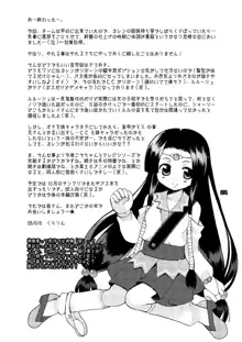 悪漫画大王反逆のルルーシュR2, 日本語