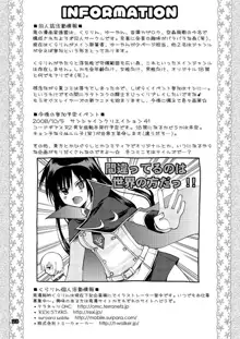 悪漫画大王反逆のルルーシュR2, 日本語