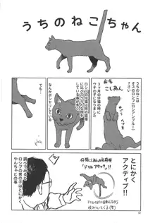 ねこ(むすめ)のきもち, 日本語