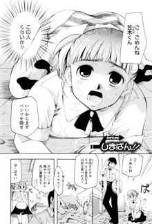 お姉さんじゃダメかしら？, 日本語