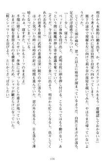 ギャルドル莉々奈のドSプロデュース 担当Pは愚直でドM, 日本語