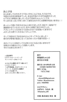 寧海姉ちゃんの身代わり日記, 日本語