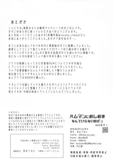 ハムマンにおしおきなんていらないのだっ, 日本語