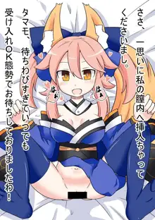 キャス狐といちゃらぶ孕ませっクス ～マグロックスもあるよ～, 日本語