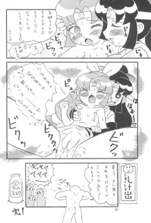 貧乳娘14, 日本語