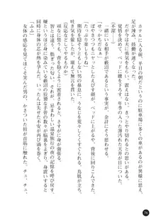 ヤブヌマ2 他人棒に啼かされる君が愛しくて, 日本語