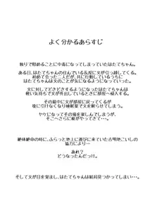 オナニープリンセスはたて 転, 日本語