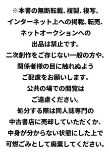 ふたりだけの内緒ごと, 日本語