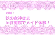 東方プラグマタイザー その10, 日本語