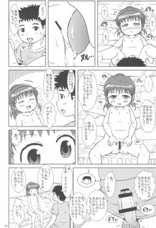 なっちゃんのしゃせいかんり, 日本語