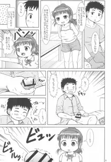 なっちゃんのしゃせいかんり, 日本語