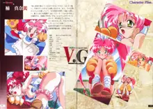 V.G.Perfect Collection Illustrations, 日本語