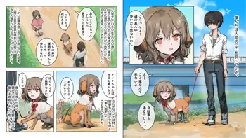 美人面犬の飼い方