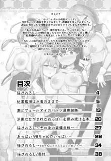 艦娘おっぱいな小噺詰め合わせ, 日本語