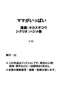 ママがいっぱい（2）司さんの秘密, 日本語