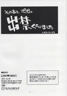 LOVE♥CHEAT, 日本語