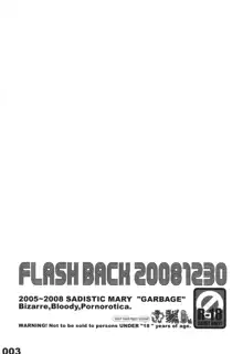 FLASH BACK 20081230, 日本語