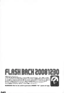 FLASH BACK 20081230, 日本語