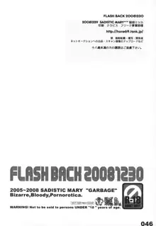 FLASH BACK 20081230, 日本語