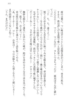 おでかけせっくす 妹と初めてのラブホテル, 日本語