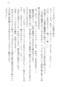 おでかけせっくす 妹と初めてのラブホテル, 日本語