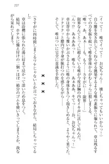 おでかけせっくす 妹と初めてのラブホテル, 日本語