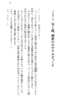 おでかけせっくす 妹と初めてのラブホテル, 日本語