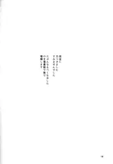 ナズーリンががんばる本, 日本語