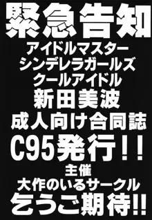 新田美波の新田美波, 日本語