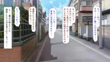 私立ぱこぱこ学園, 日本語