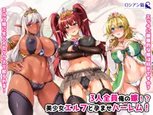 3人全員俺の嫁!? 美少女エルフと孕ませハーレム!, 日本語