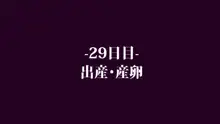 女王バチの搾精交尾―誕生から受精…そして産卵まで―, 日本語