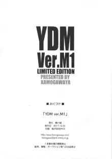 YDM ver.M1, 日本語