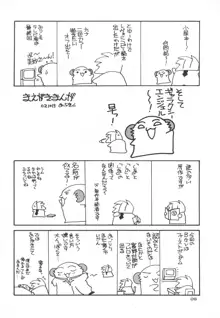 小星の楽しみ方, 日本語