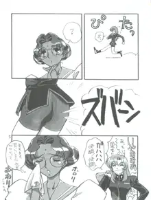 UTENA 華麗なる学生服, 日本語