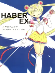 HABER EX VIII ANOTHER MOON RISING, 日本語