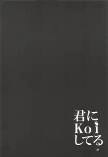 君にKoiしてる 総集編, 日本語