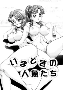 彼女のエッチ日記, 日本語