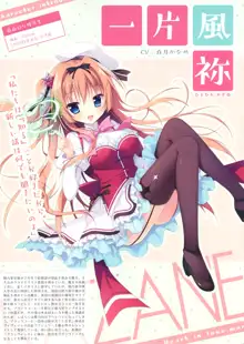 恋するココロと魔法のコトバ OFFICIAL ARTBOOK, 日本語