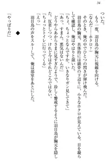 羽目鳥さんは撮られたい!～可愛い教え子は露出好き～, 日本語