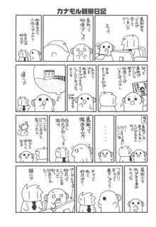 霞ちゃんに叱られる, 日本語