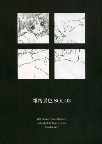 雑踏景色SOLO3, 日本語