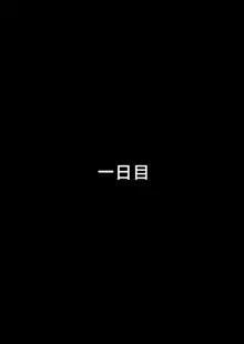 夫の知らない妻の七日間case/aoi, 日本語