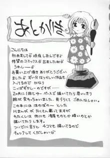 愛のカタチ, 日本語