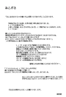 おとなのおもちゃの使い方 + 4Pリーフレット, 日本語